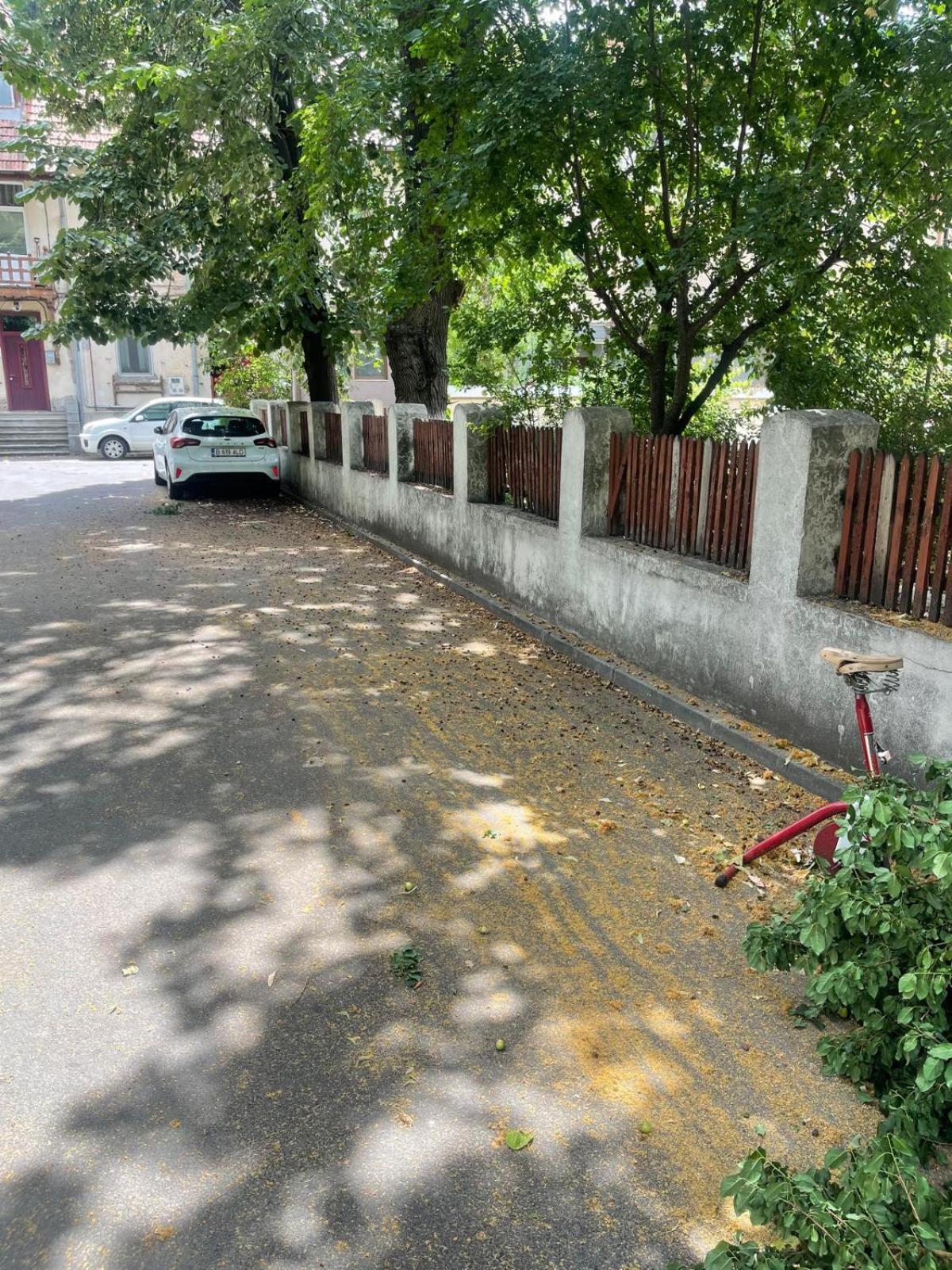White Studio Bukarest Exterior foto